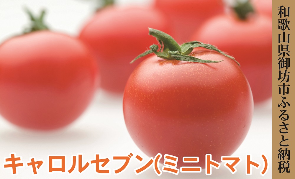 御坊市 旬の野菜 果物定期便 春 夏 秋 冬 4回 Jtbのふるさと納税サイト ふるぽ