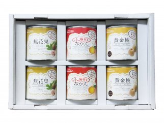 【ポイント交換】【6缶セット】国産フルーツ缶詰3種類ギフト