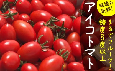 完熟ミニトマト アイコトマト 約1kg Jtbのふるさと納税サイト ふるぽ