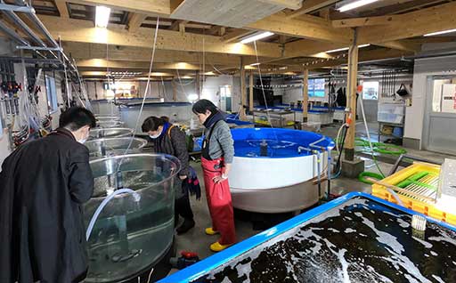 07熊石地域水産試験プロジェクト