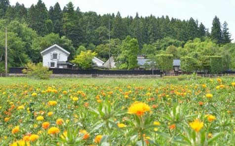 1. 歴史的建造物の保存と利活用のために