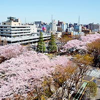 神奈川県相模原市のふるさと納税お礼の品3