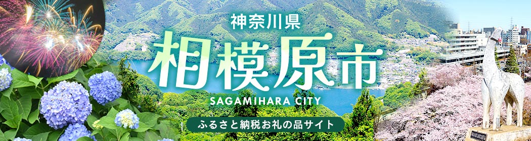 神奈川県相模原市