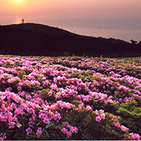 神奈川県湯河原町のふるさと納税お礼の品1