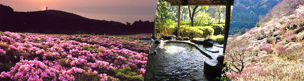 神奈川県湯河原町