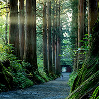 長野県長野市のふるさと納税お礼の品1