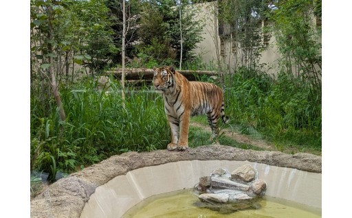 茶臼山動物園・城山動物園再整備プロジェクト