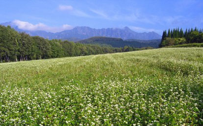 守ろう！美しいふるさと『ながの』