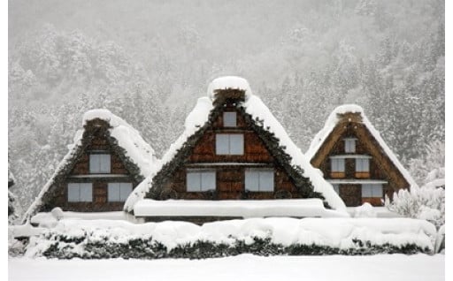 １１．世界に選ばれる観光地づくりを推進する