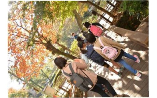 社会的養育を必要とするこどもたちへの支援