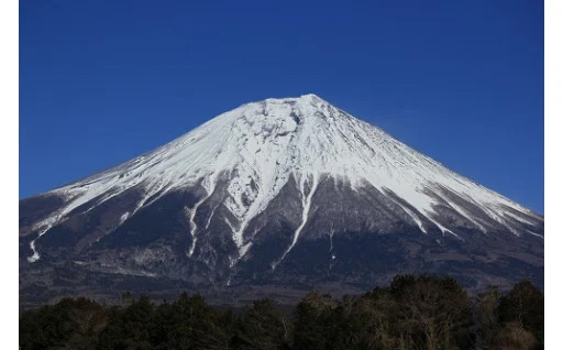 世界遺産富士山の保全管理
