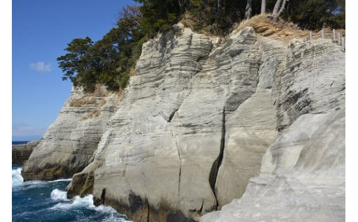 伊豆半島ユネスコグローバルジオパークの保全管理