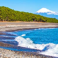 静岡県静岡市のふるさと納税お礼の品3