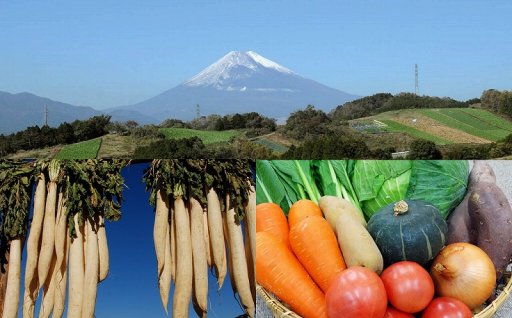 ⑤	「箱根西麓三島野菜」などのブランド化による農芸都市の創造