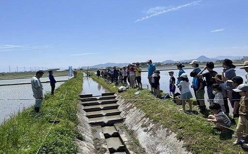 (4)　山、川、琵琶湖等の豊かで良好な自然環境を保全し、次世代に引き継ぐための事業（環境）