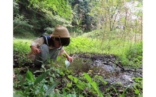 3.持続可能なまちづくり（森林・里山の再生、環境保全、農水産業の活性化など）