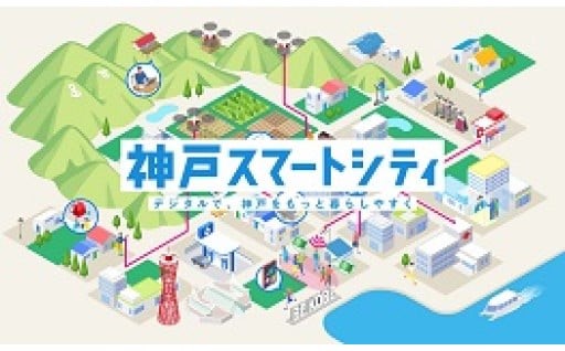 6.DXを活⽤した先進的なまちづくり（行政手続きのスマート化、市民サービスの向上など）