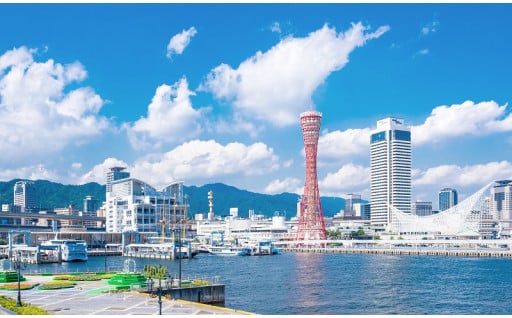 7.市長におまかせ
