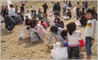 鳥取砂丘の保全と活性化に関する事業