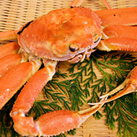 鳥取県境港市のふるさと納税お礼の品2