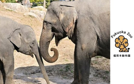 動物園