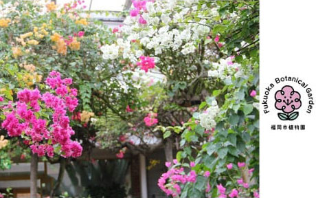 植物園
