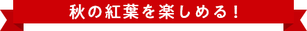 秋の紅葉を楽しめる！