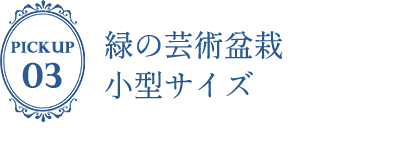 緑の芸術盆栽　小型サイズ