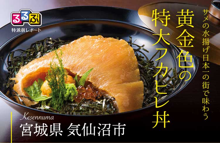 黄金色の特大フカヒレ丼 | 宮城県気仙沼市の旅行レポート