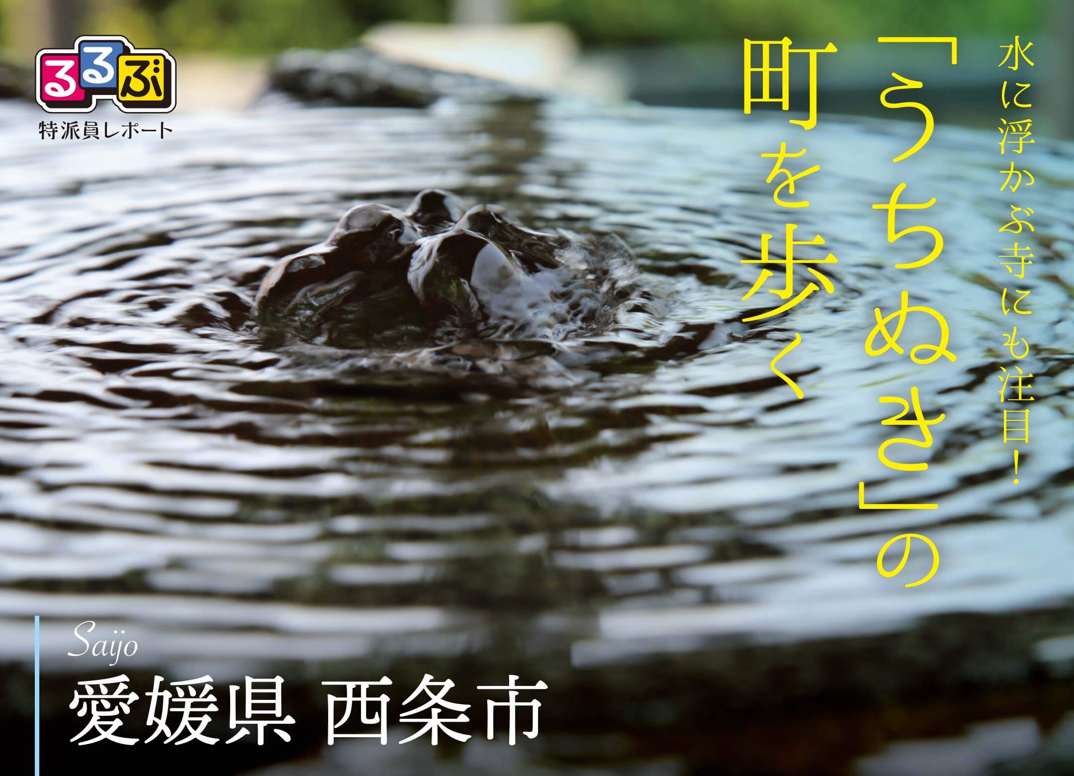 水に浮かぶ寺にも注目!「うちぬき」の町を歩く