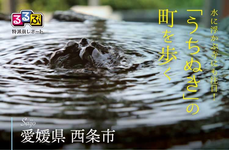 水に浮かぶ寺にも注目!「うちぬき」の町を歩く
