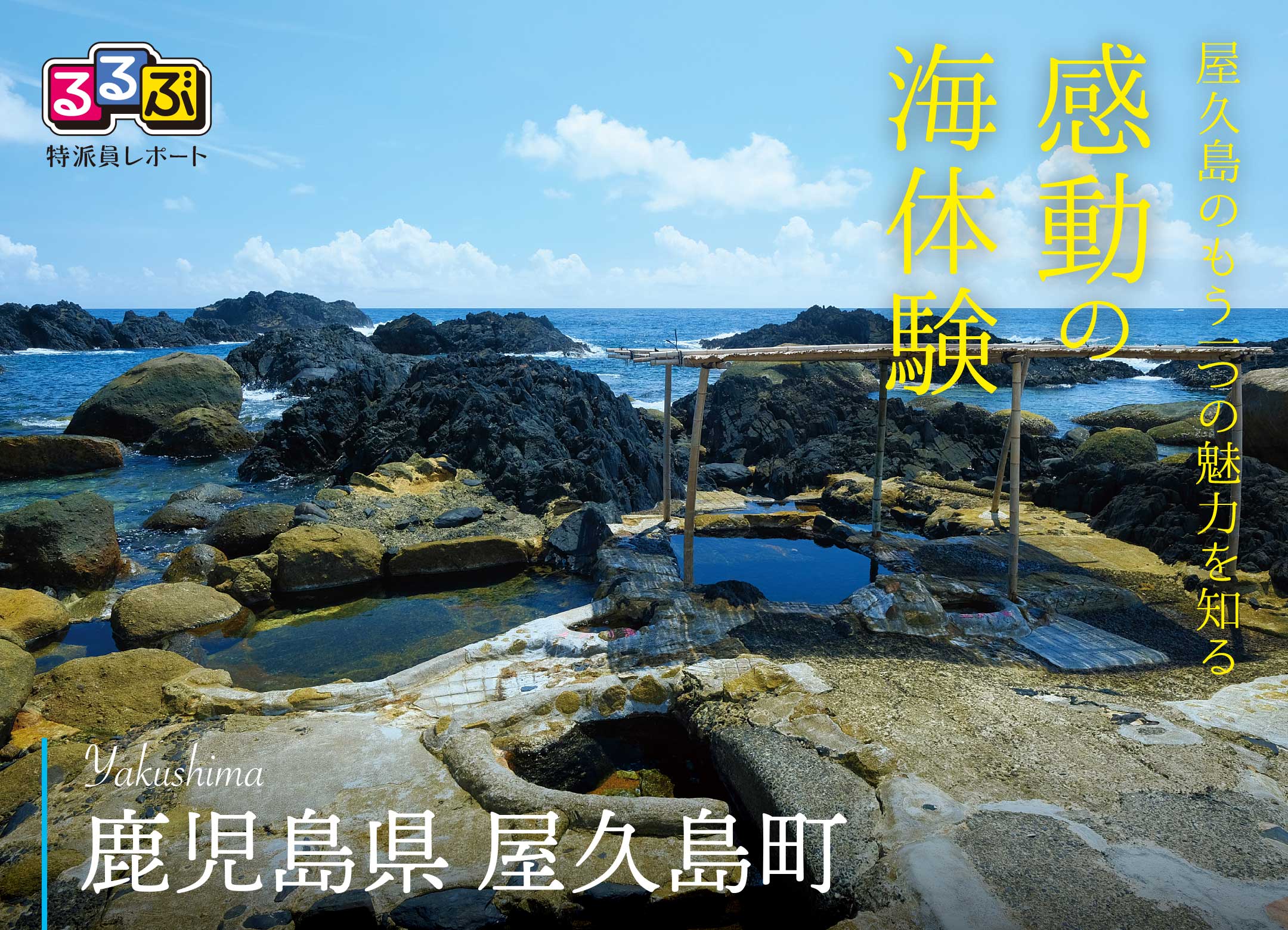 感動の海体験 | 鹿児島県屋久島町の旅行レポート