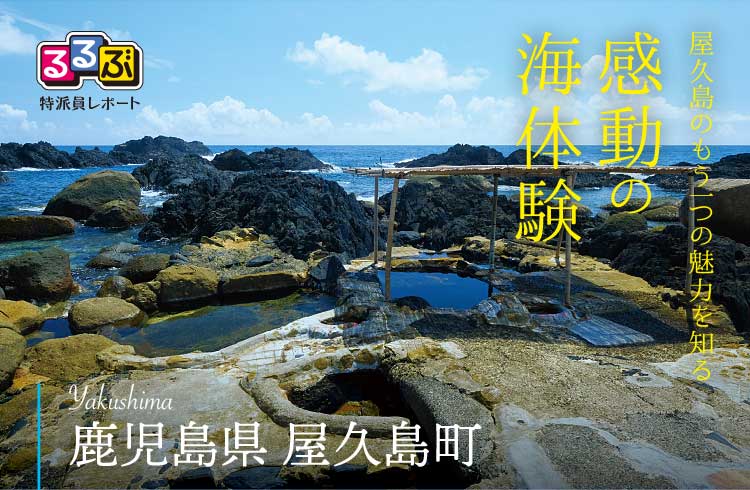 感動の海体験 | 鹿児島県屋久島町の旅行レポート