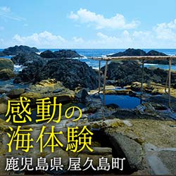 屋久島のもう一つの魅力を知る感動の海体験