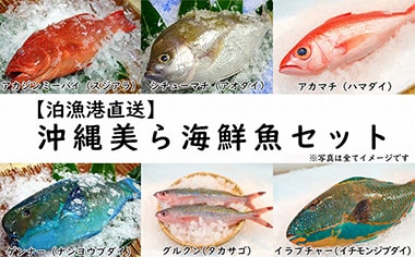 【泊漁港直送】 沖縄美ら海鮮魚セット