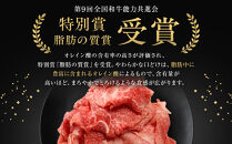 能登牛　切り落とし　1kg(500g×2パック)　国産　石川県　黒毛和牛　牛肉　牛丼　肉じゃが　カレー　牛肉料理
