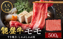 能登牛モモ　(しゃぶしゃぶ/すき焼き)　500g(500g×1パック)　国産　石川県　A5ランク　黒毛和牛　牛肉