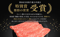 能登牛モモ　(しゃぶしゃぶ/すき焼き)　500g(500g×1パック)　国産　石川県　A5ランク　黒毛和牛　牛肉