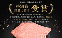 能登牛ロース　(しゃぶしゃぶ/すき焼き)　500g(500g×1パック)　国産　石川県　A5ランク　黒毛和牛　牛肉