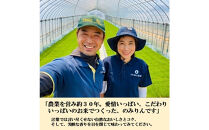 おいしい本みりん【のみりん】6本&nbsp;調味料&nbsp;お酒