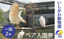 チケット&nbsp;いしかわ動物園ペア入園券（一般）石川県&nbsp;能美市