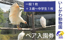 チケット&nbsp;いしかわ動物園ペア入園券（一般＋3歳以上中学生以下）石川県&nbsp;能美市