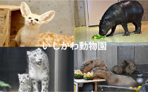 チケット&nbsp;いしかわ動物園ペア入園券（一般＋3歳以上中学生以下）石川県&nbsp;能美市