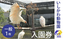 チケット&nbsp;いしかわ動物園入園券（一般）石川県&nbsp;能美市