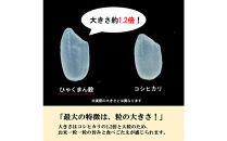【令和8年産】【日本農業賞大賞】ひゃくまん穀3kg精白米&nbsp;能美市&nbsp;お米&nbsp;精米銘柄米&nbsp;精米したて&nbsp;一等米