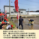 【令和8年産】【日本農業賞大賞】ひゃくまん穀2.7kg精白米&nbsp;能美市&nbsp;お米&nbsp;精米銘柄米&nbsp;精米したて&nbsp;一等米