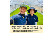 【令和8年産】【日本農業賞大賞】ゆめみづほ3kg精白米&nbsp;能美市&nbsp;お米&nbsp;精米銘柄米&nbsp;ご飯&nbsp;おにぎり&nbsp;お弁当&nbsp;和食&nbsp;&nbsp;粘りが少ない&nbsp;精米したて&nbsp;一等米