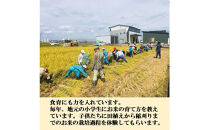 【令和8年産】【日本農業賞大賞】ゆめみづほ9kg（4.5kg×2）精白米&nbsp;能美市&nbsp;お米&nbsp;精米銘柄米&nbsp;ご飯&nbsp;おにぎり&nbsp;お弁当&nbsp;和食&nbsp;粘りが少ない&nbsp;精米したて&nbsp;一等米