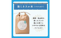 北本農場のお米令和8年度産コシヒカリ精米5kg有機肥料（海ミネラル肥料）で育てたお米