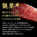 肉【和牛セレブ】能登牛&nbsp;サーロインステーキ&nbsp;240g&nbsp;黒毛和牛&nbsp;サーロイン&nbsp;ステーキ&nbsp;霜降り&nbsp;ギフト&nbsp;石川県&nbsp;能美市